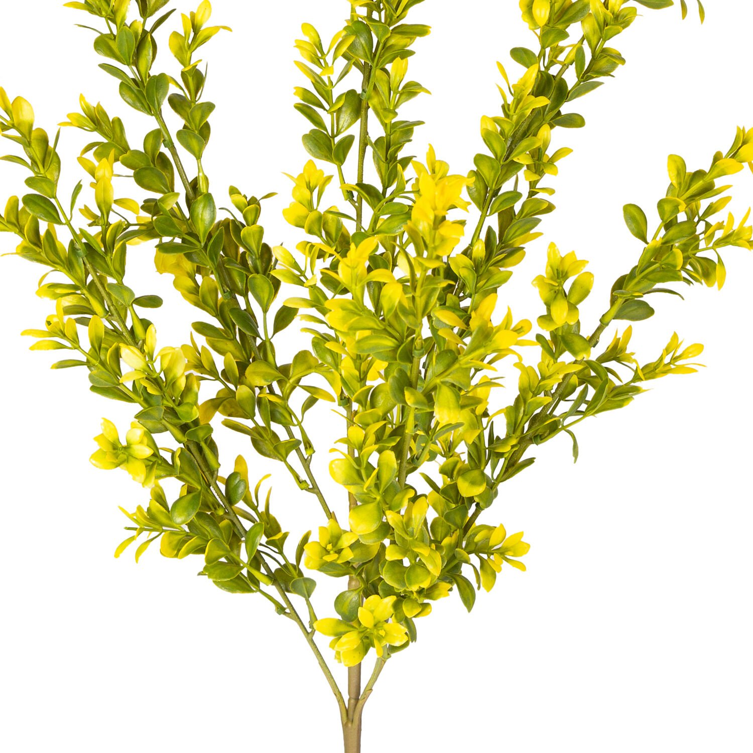 Yapay Bitki, Şimşir, Sarı/Yeşil - 55 cm