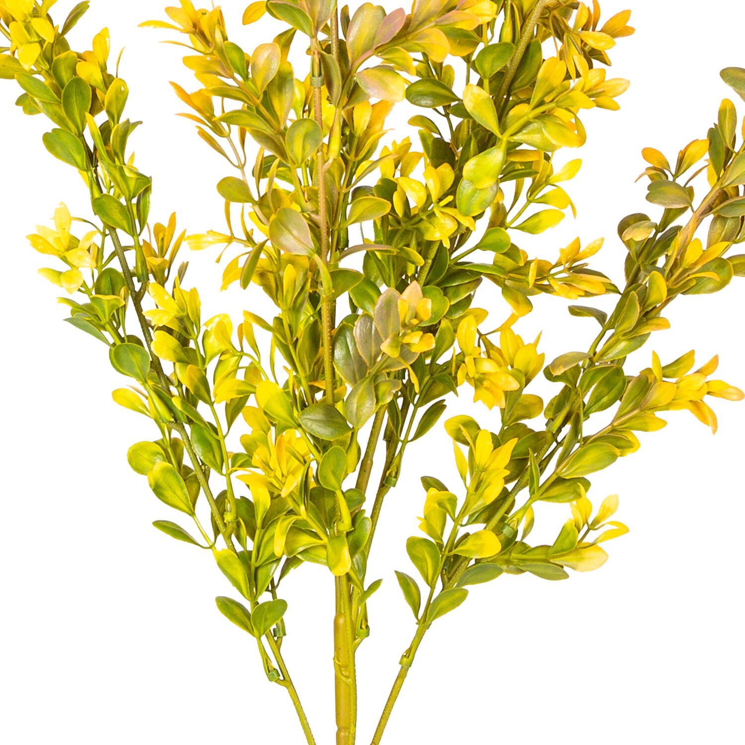 Yapay Bitki, Şimşir, Turuncu/Yeşil - 55 cm