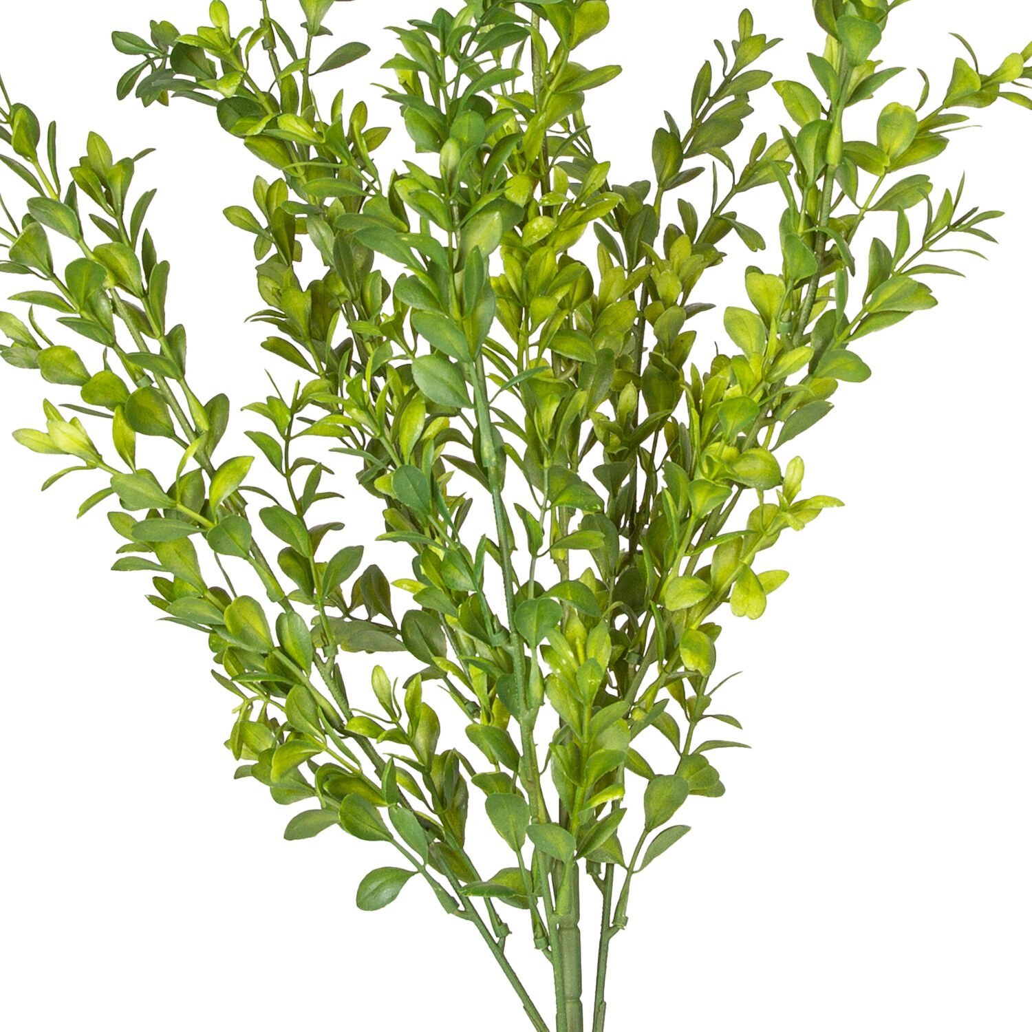 Yapay Bitki, Şimşir, Yeşil - 55 cm