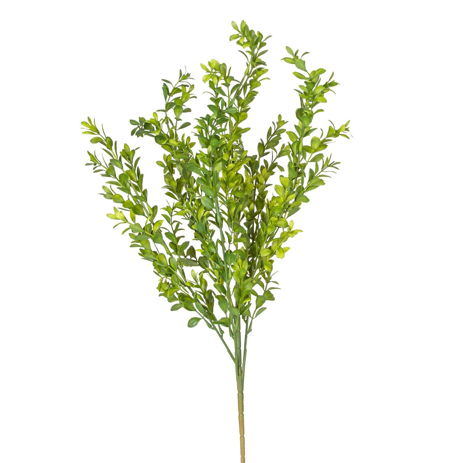 Yapay Bitki, Şimşir, Yeşil - 55 cm