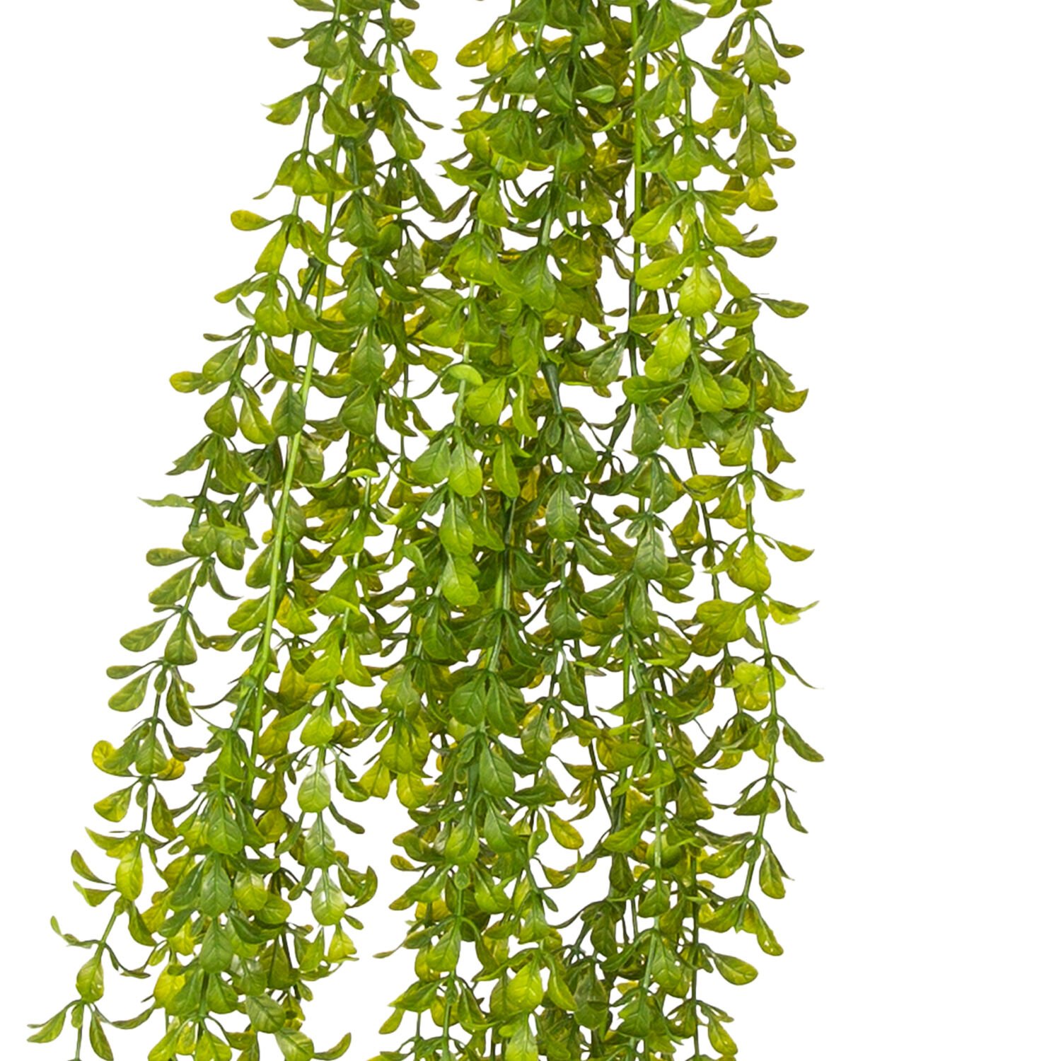 Yapay Sarmaşık, Okaliptus, Yeşil - 100 cm