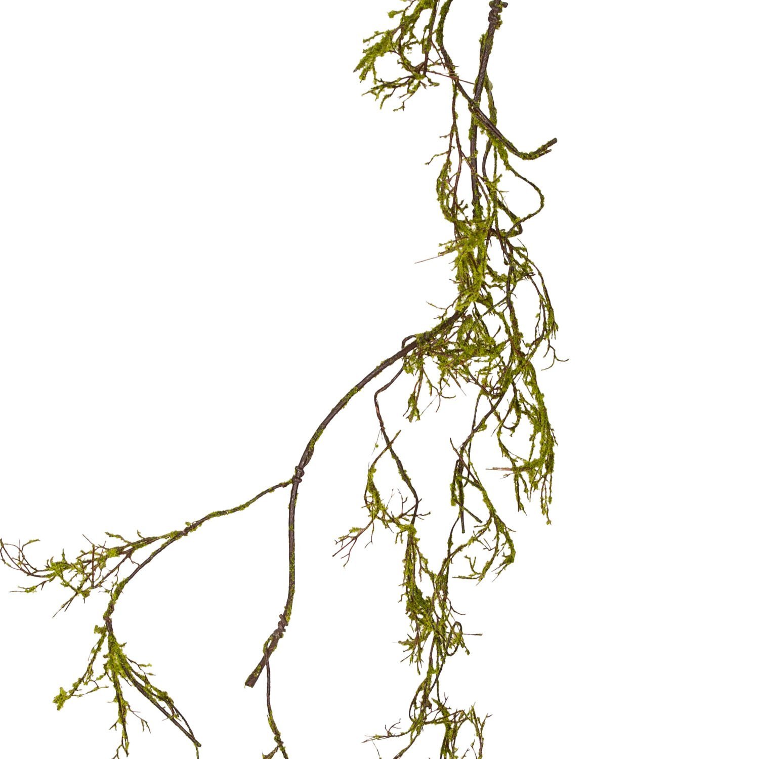 Yapay Sarmaşık, Kırık Mercan Asması - 180 cm