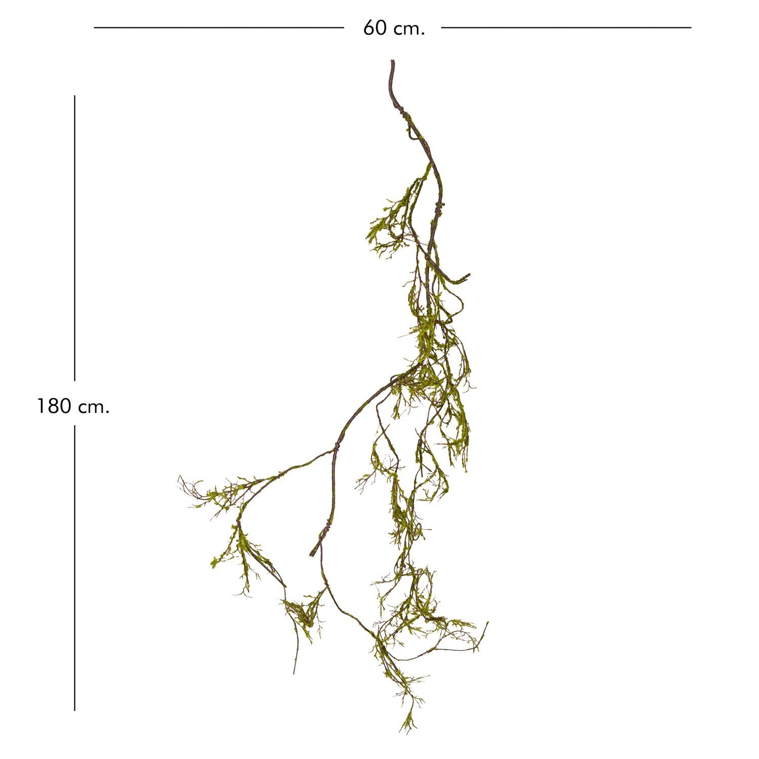 Yapay Sarmaşık, Kırık Mercan Asması - 180 cm