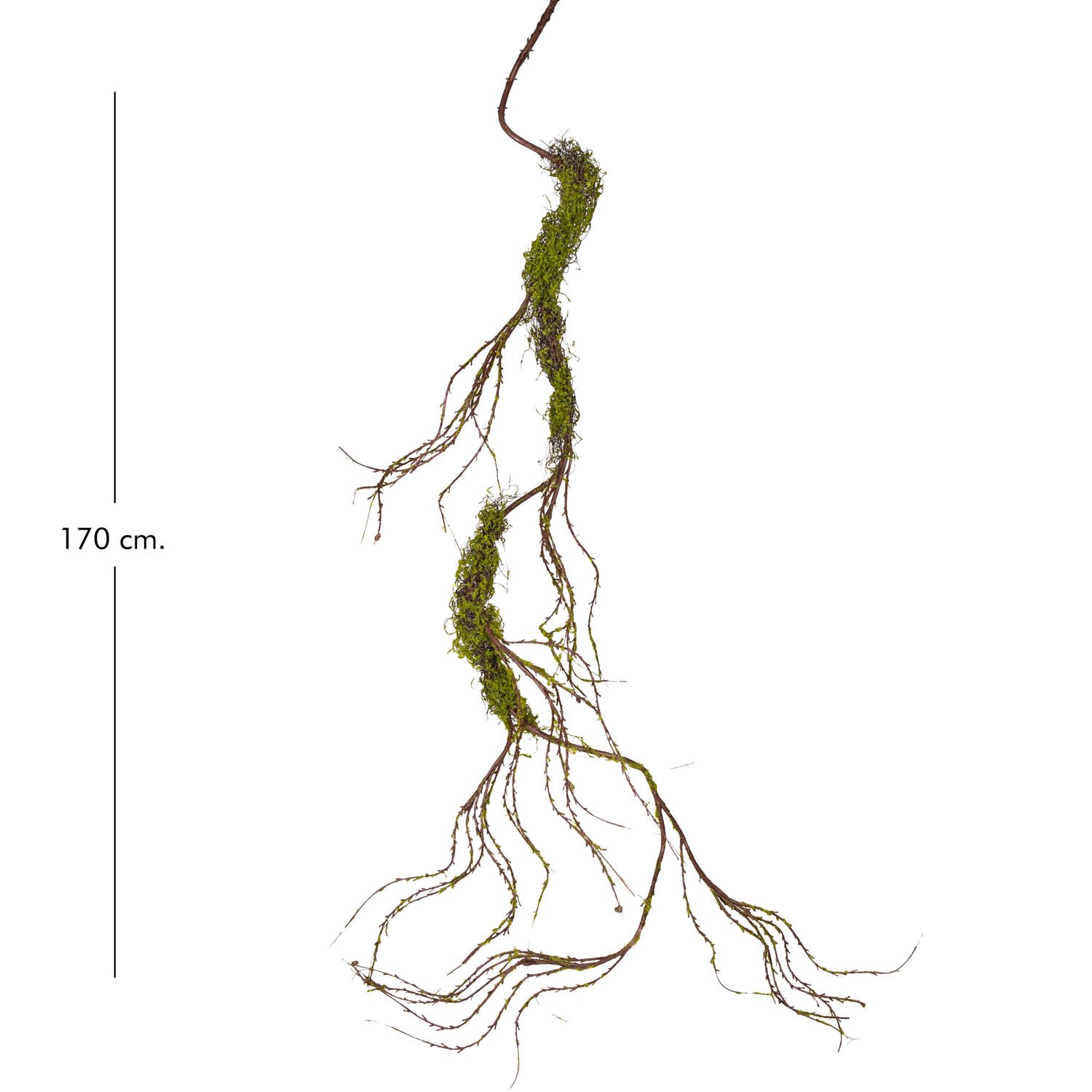 Yapay Sarmaşık, Söğüt Asması - 170 cm