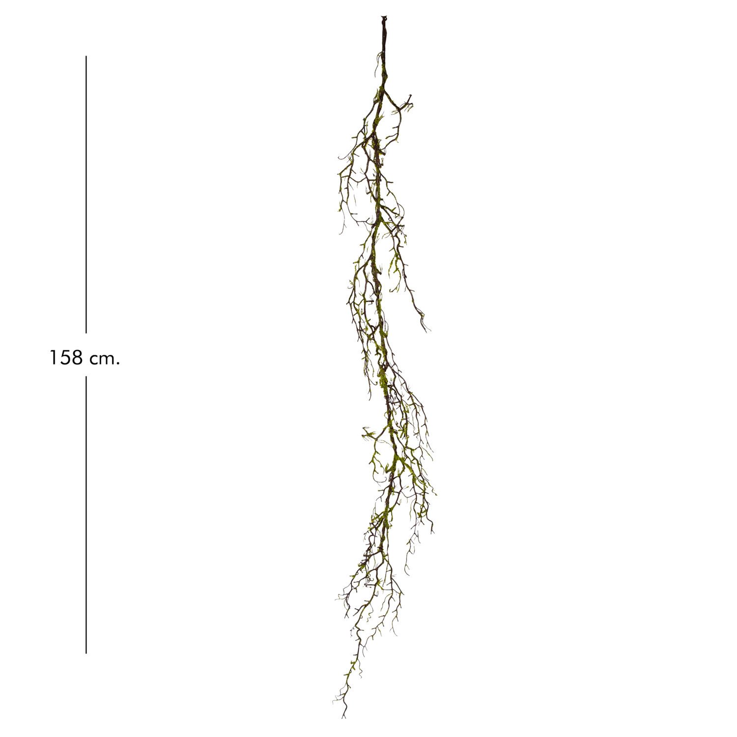 Yapay Sarmaşık, Söğüt Asması - 158 cm