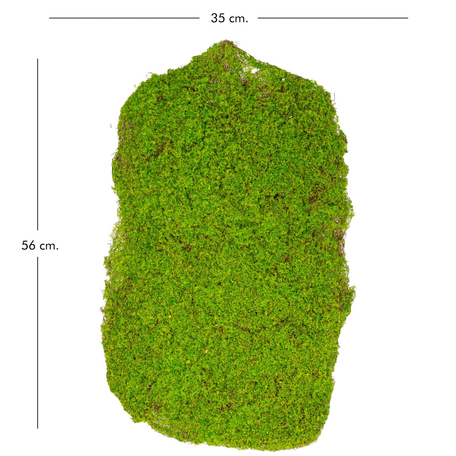 Yapay Yosun Tabaka - 35x56 cm