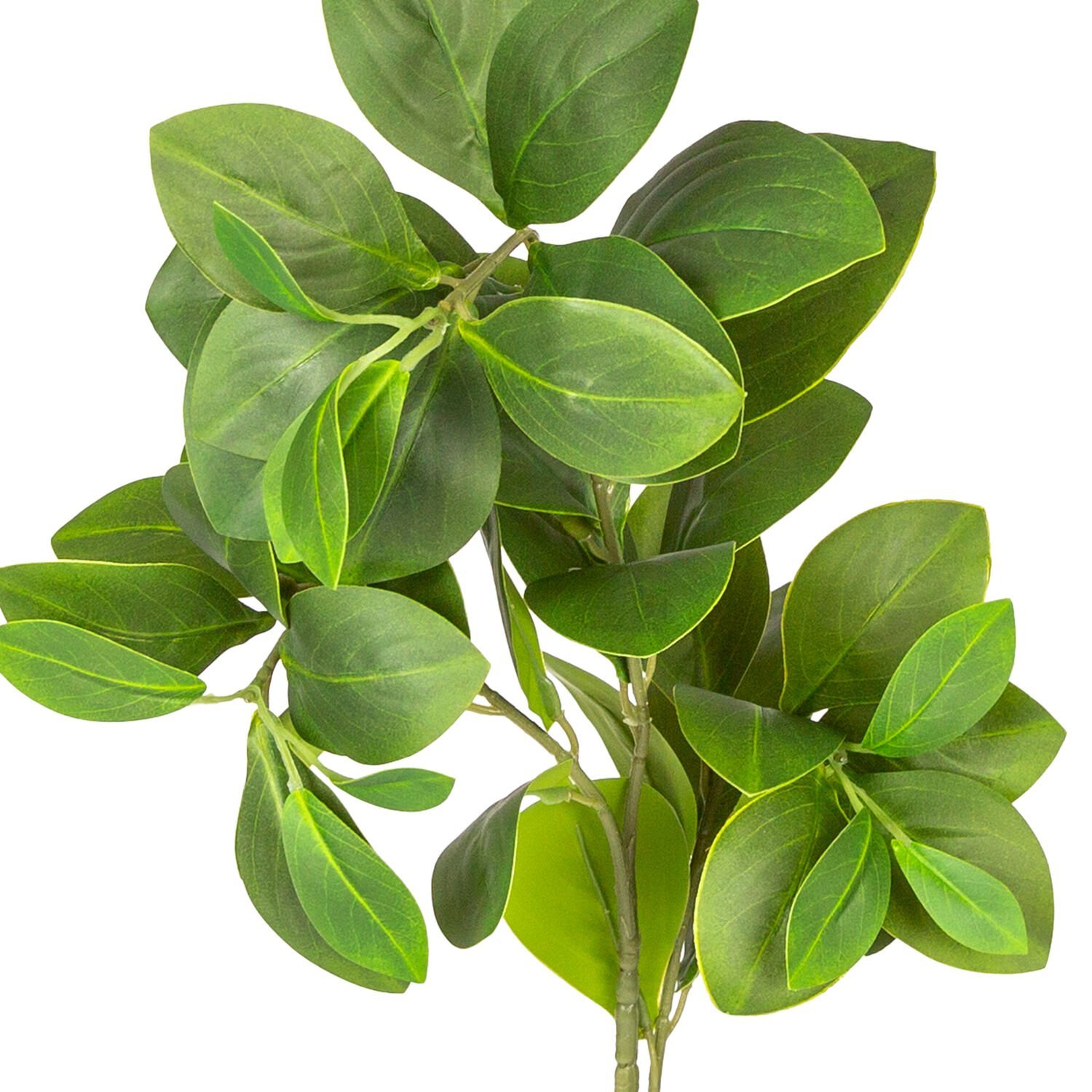 Yapay Manolya Dalı, Yeşil - 70 cm