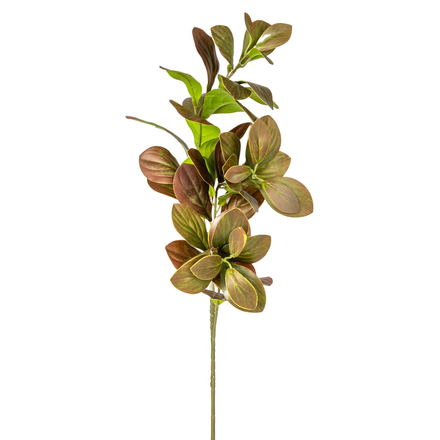 Yapay Manolya Dalı, Kahverengi - 70 cm