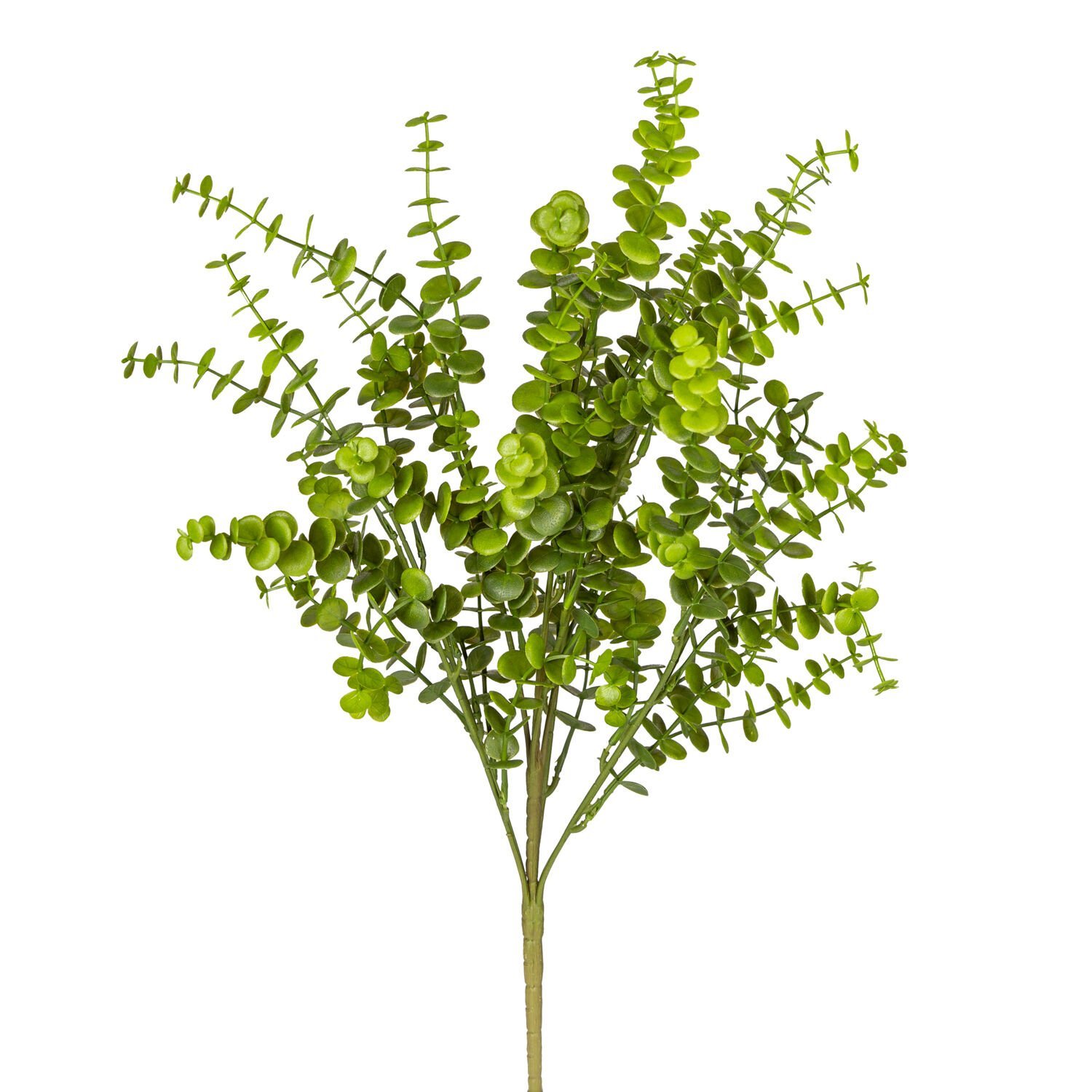 Yapay Okaliptus Demet, Yeşil - 55 cm