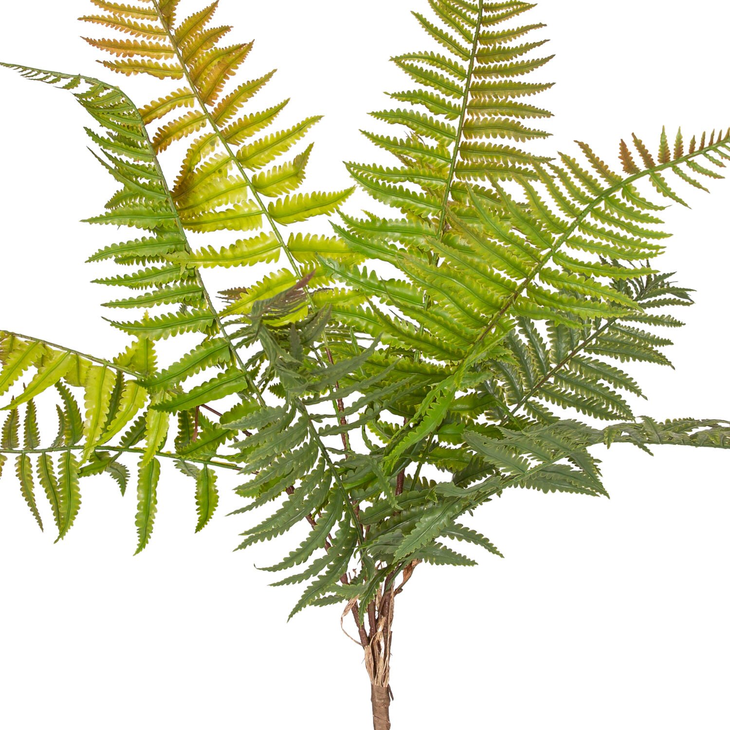 Yapay Bitki, Fujer/Eğrelti Otu, Kızıl/Yeşil - 75 cm