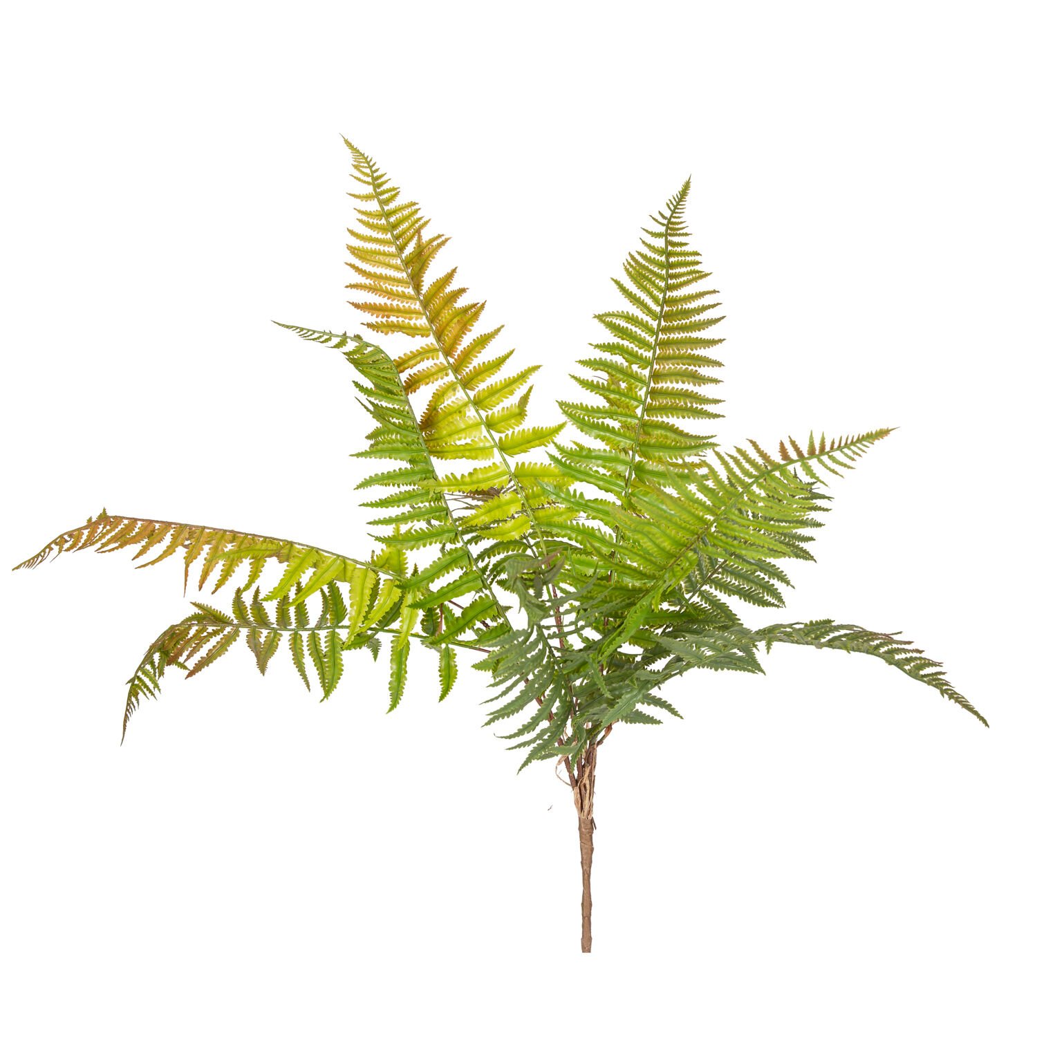 Yapay Bitki, Fujer/Eğrelti Otu, Kızıl/Yeşil - 75 cm