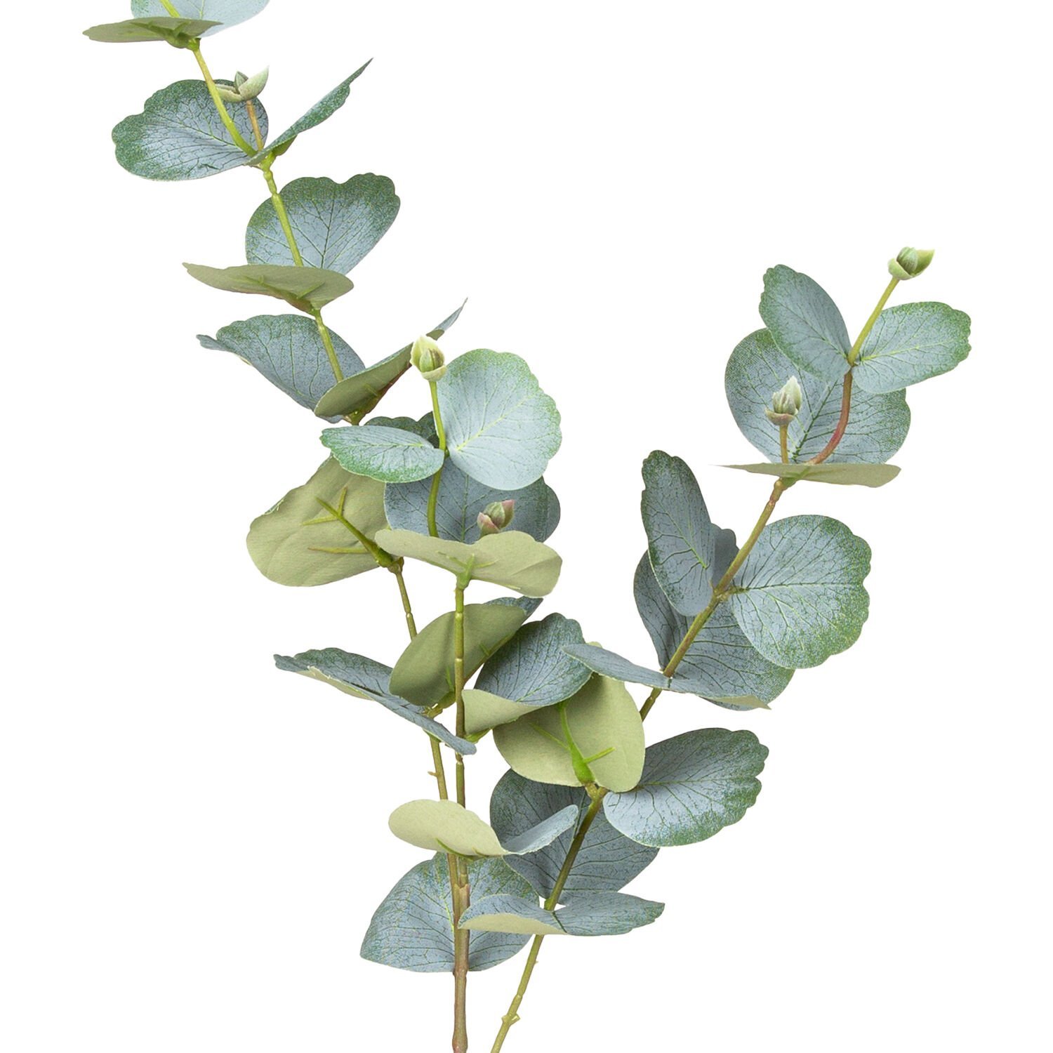 Yapay Okaliptus Dalı, Yeşil - 75 cm