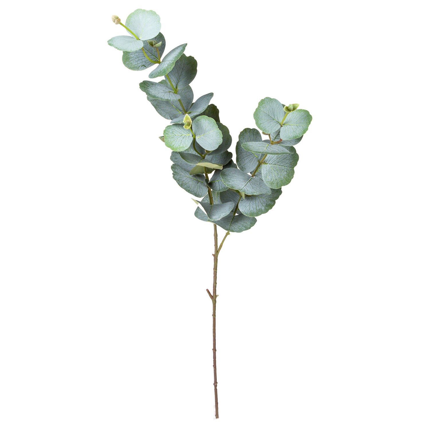 Yapay Okaliptus Dalı, Yeşil - 75 cm