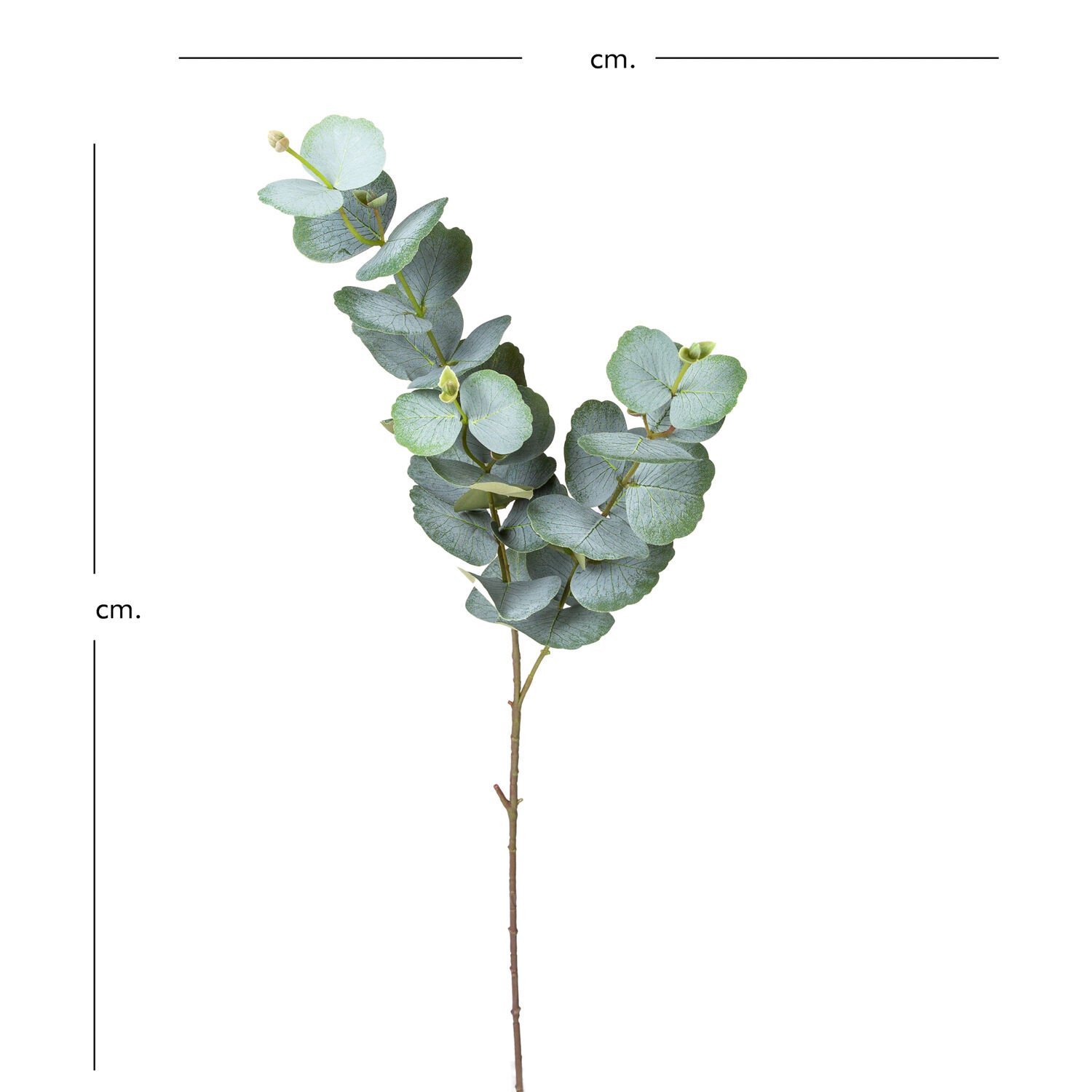 Yapay Okaliptus Dalı, Yeşil - 75 cm