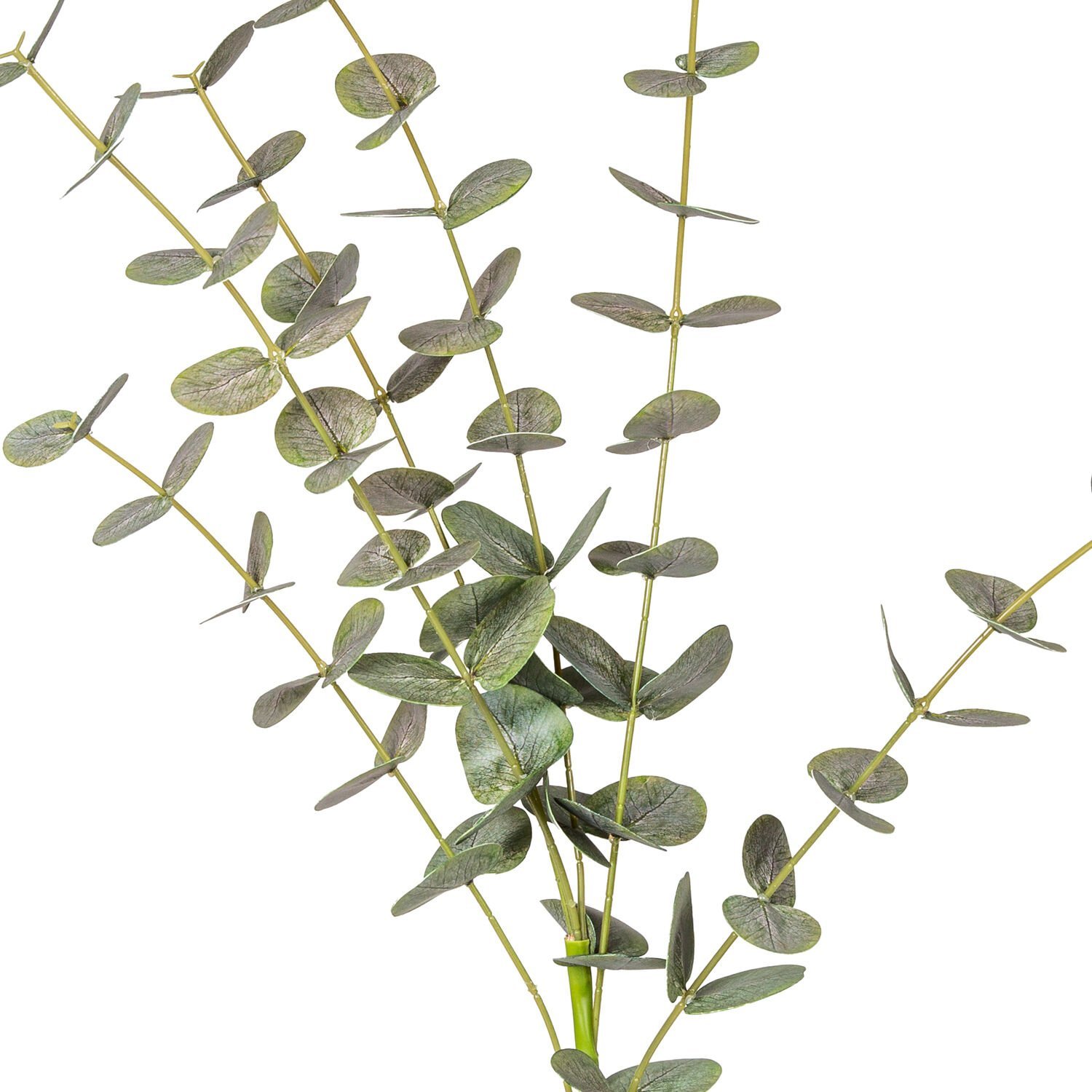 Yapay Okaliptus Dalı, Gerçek Dokulu, Yeşil - 87 cm