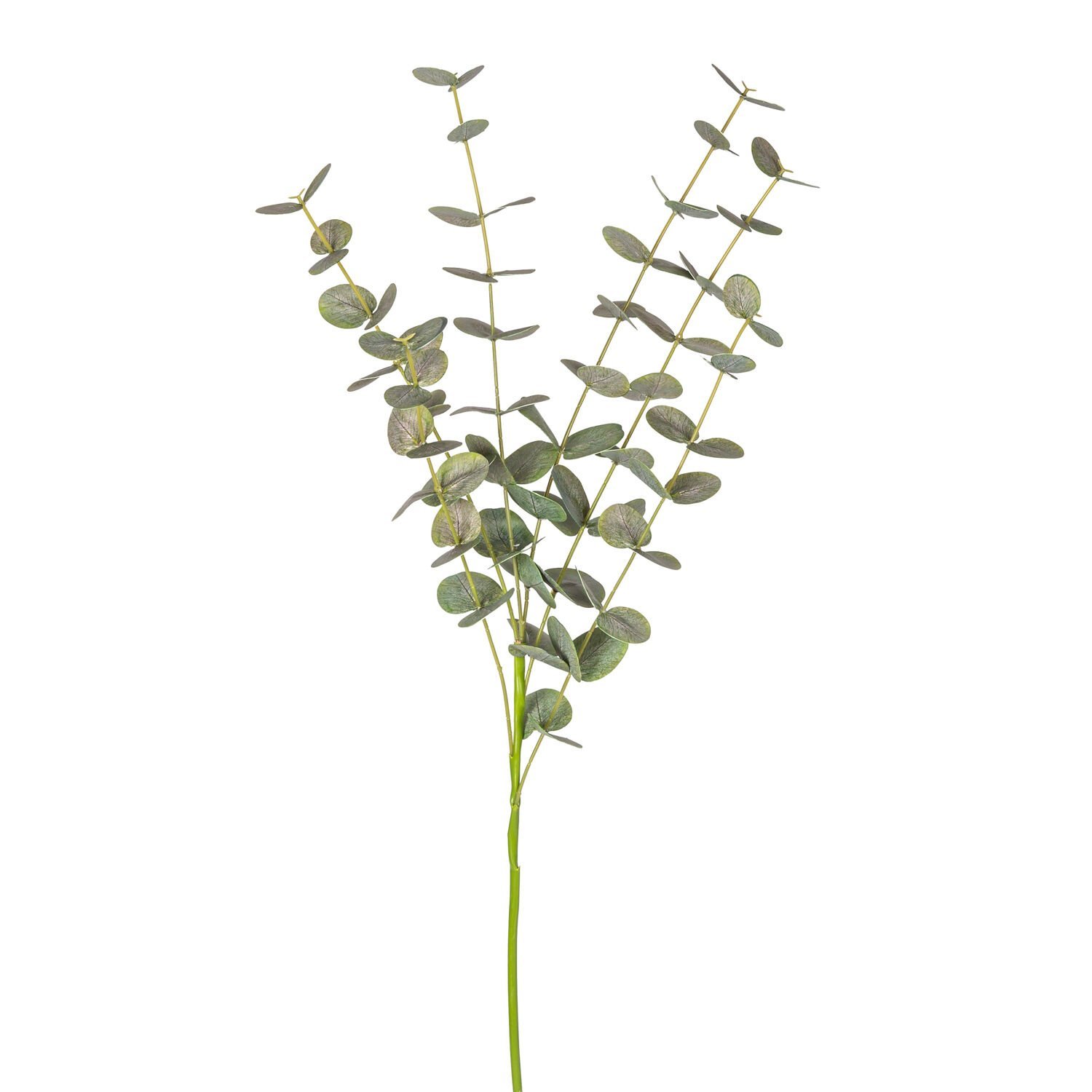 Yapay Okaliptus Dalı, Gerçek Dokulu, Yeşil - 87 cm