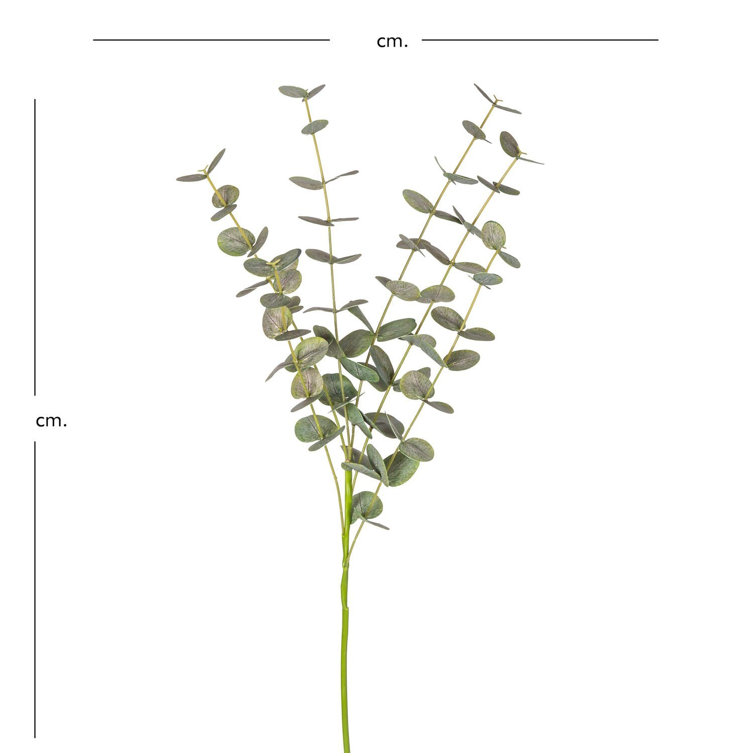 Yapay Okaliptus Dalı, Gerçek Dokulu, Yeşil - 87 cm