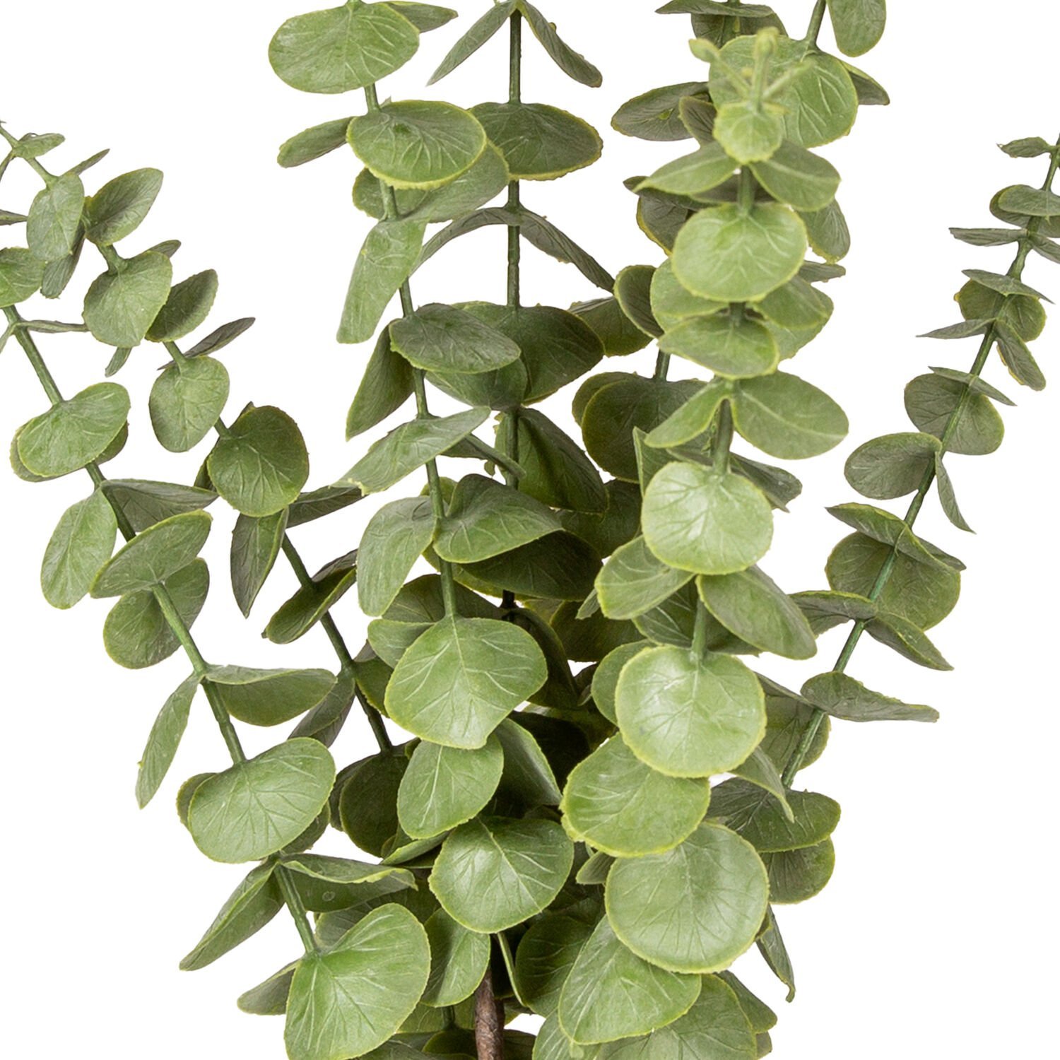 Yapay Okaliptus Demeti, Yeşil - 50 cm