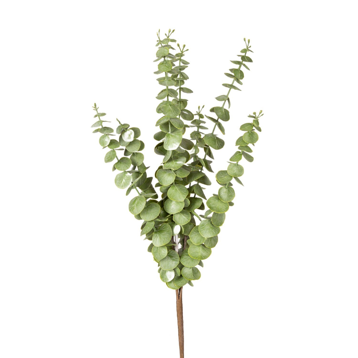 Yapay Okaliptus Demeti, Yeşil - 50 cm