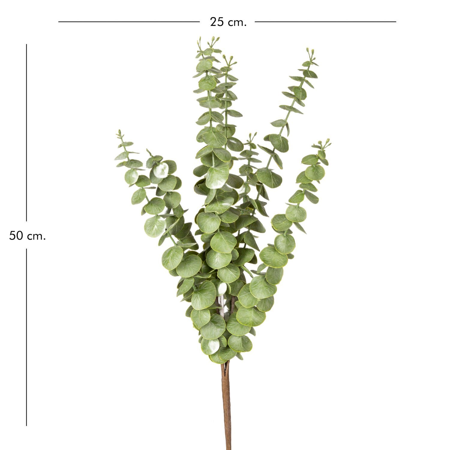 Yapay Okaliptus Demeti, Yeşil - 50 cm