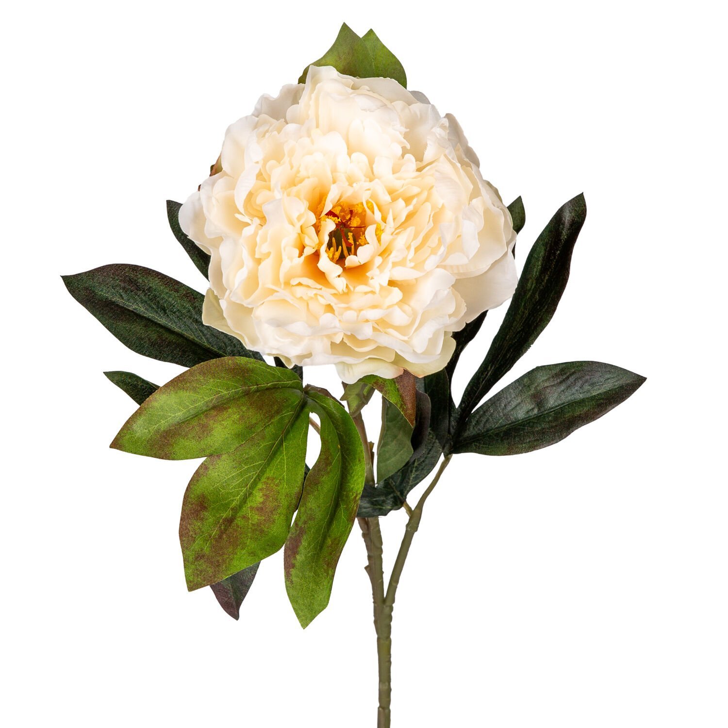 Yapay Çiçek, Şakayık, Krem - 77 cm