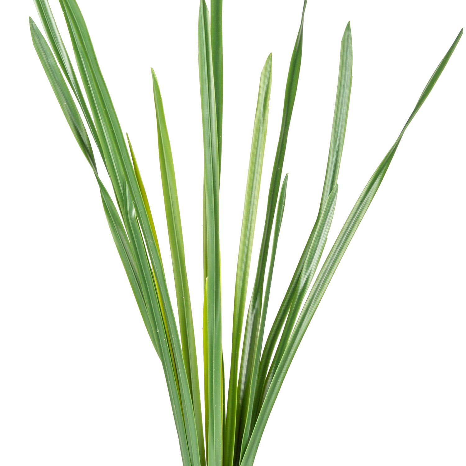 Yapay Saz, Köklü, Yeşil - 55 cm