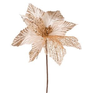 Yılbaşı Çiçeği, Şampanya - 30 cm