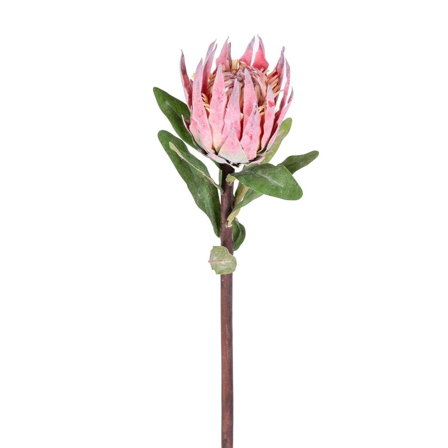 Yapay Protea Çiçeği Kırmızı 60 Cm.