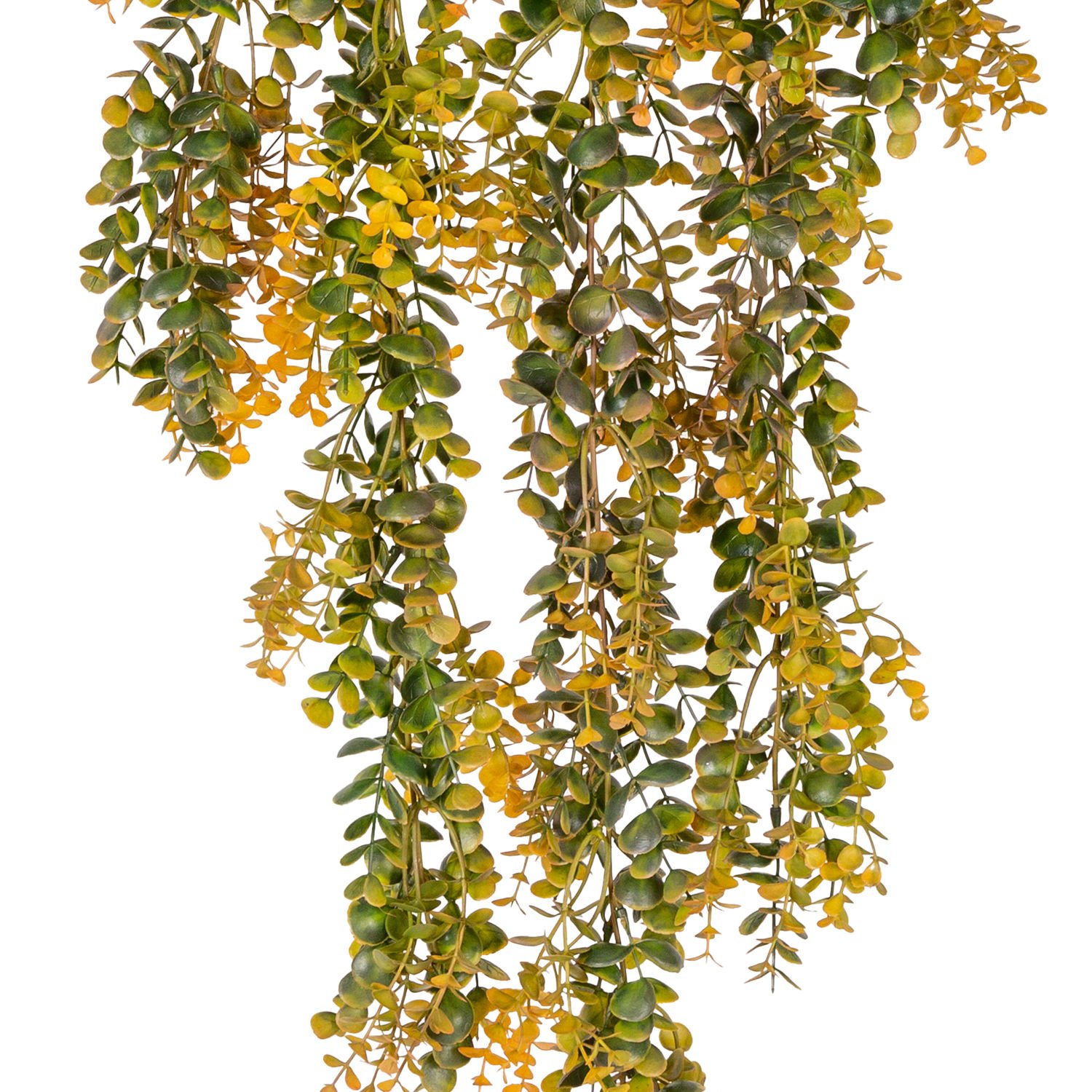 Yapay Okaliptus Sarmaşık, Sarı-Yeşil - 85 cm