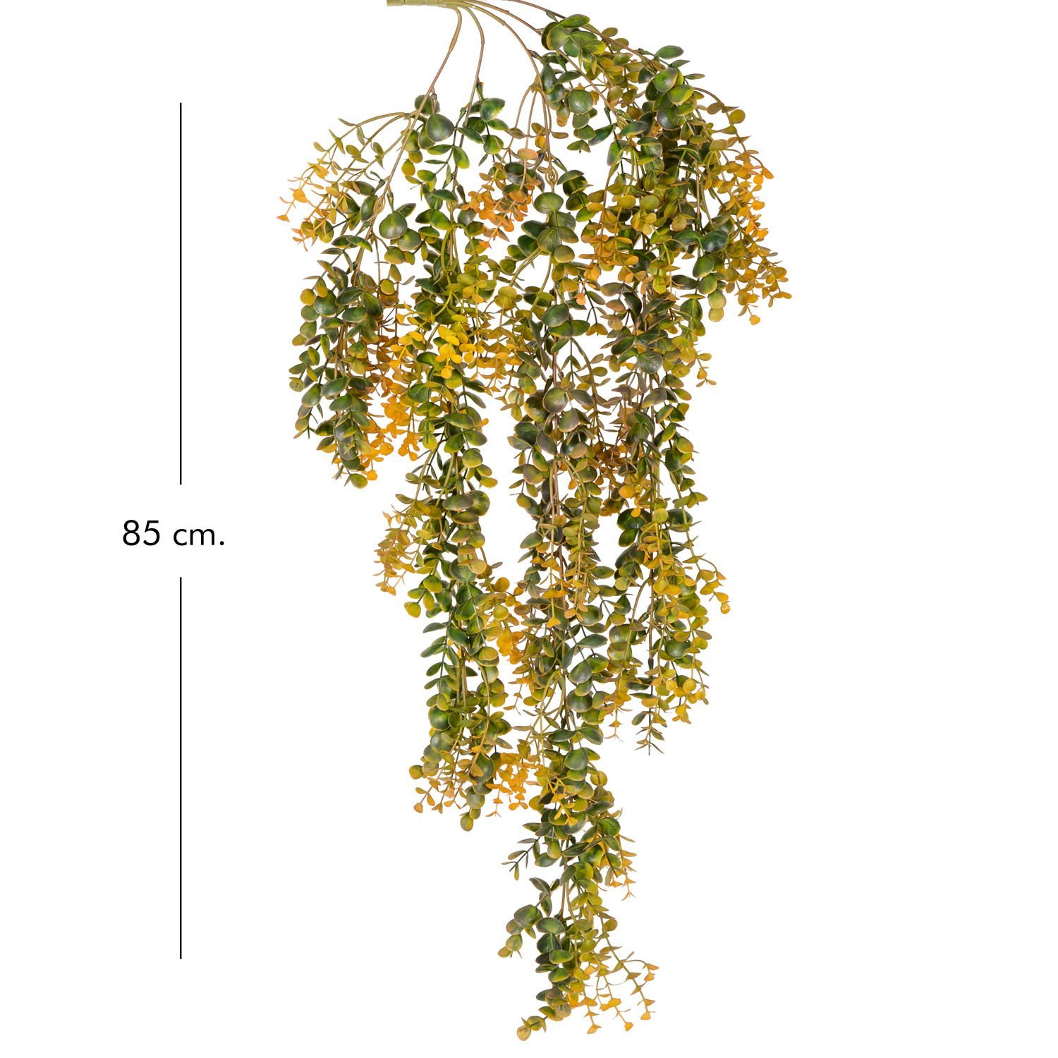 Yapay Okaliptus Sarmaşık, Sarı-Yeşil - 85 cm