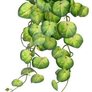 Yapay Bitki Salon Sarmaşığı Peperomia Yeşil 65 Cm.