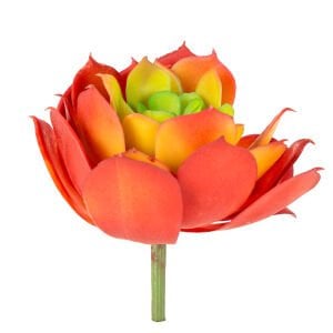Yapay Eçeverya Sukulent Kaktüs Kırmızı 14 Cm.