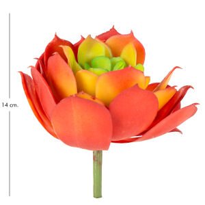 Yapay Eçeverya Sukulent Kaktüs Kırmızı 14 Cm.