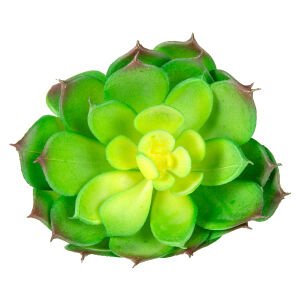 Yapay Eçeverya Sukulent Kaktüs Yeşil 14 Cm.
