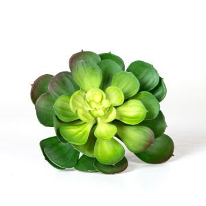 Yapay Kaktüs Sukulent Yeşil 15 Cm.