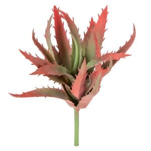 Yapay Eçeverya Sukulent Kaktüs Bordo 19 Cm.