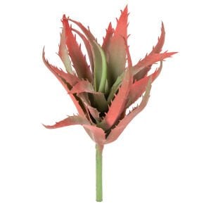 Yapay Eçeverya Sukulent Kaktüs Bordo 19 Cm.
