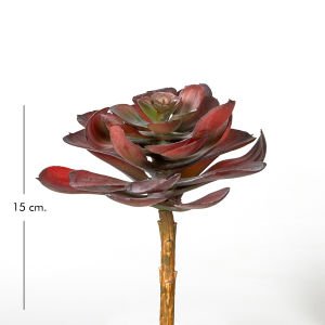 Yapay Kaktüs Sukulent Bordo 15 Cm.