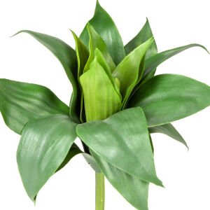 Yapay Kaktüs Sukulent Agave Yeşil 28 Cm.