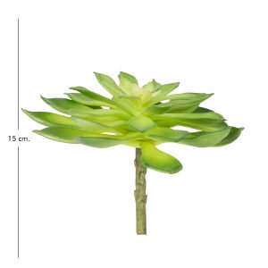 Yapay Eçeverya Kaktüs Sukulent Yeşil 15 Cm.