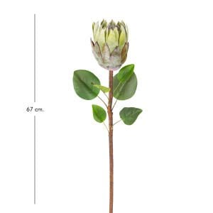 Yapay Protea Bitkisi Yeşil 67 Cm.