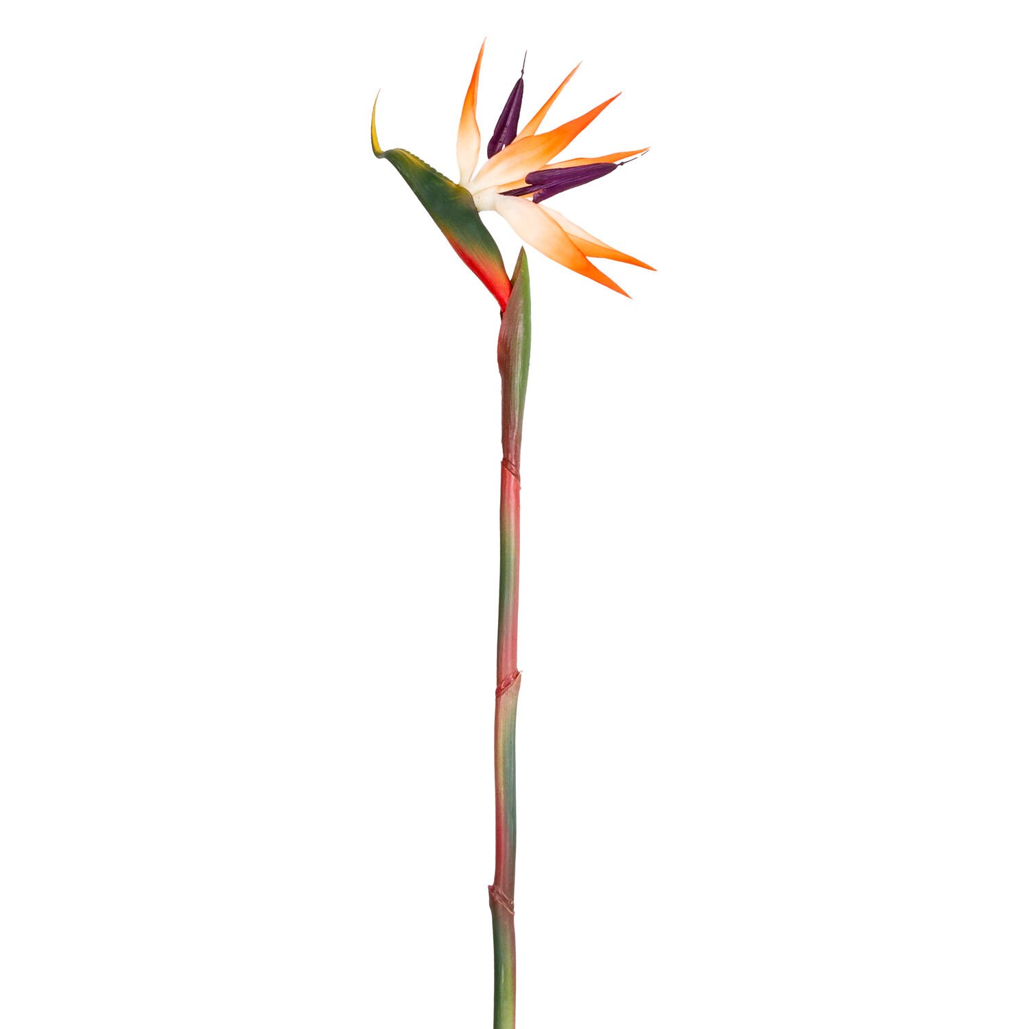 Yapay Starliçe Tek Dal 80 Cm.