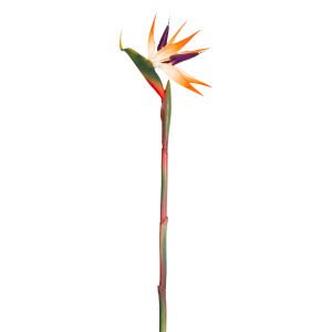 Yapay Starliçe Tek Dal 80 Cm.