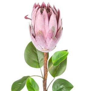 Yapay Protea Bitkisi Mor 67 Cm.
