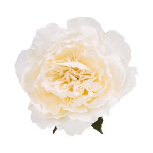 Yapay Şakayık Krem 64 Cm.
