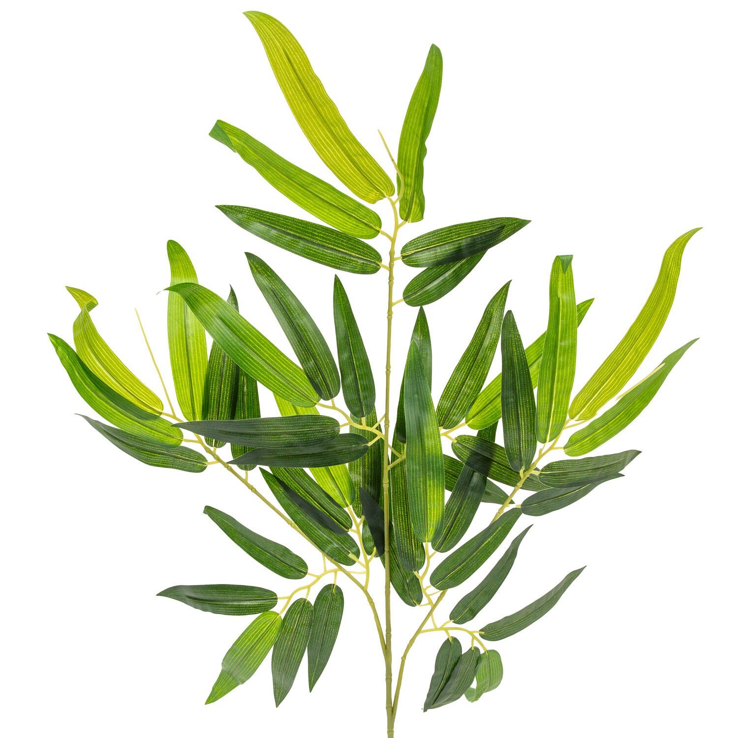 Bambu Yaprağı Yeşil 65 Cm.