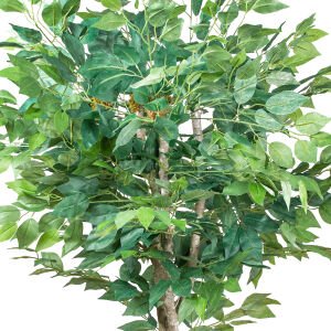 Yapay Ficus Ağacı Çift Gövde Yeşil 135 Cm.