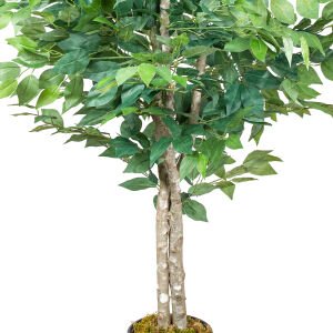 Yapay Ficus Ağacı Çift Gövde Yeşil 135 Cm.