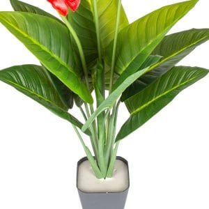 Yapay Antoryum-Flamingo Çiçeği 10 Yaprak 3 Çiçekli Yeşil-Kırmızı 70 Cm.