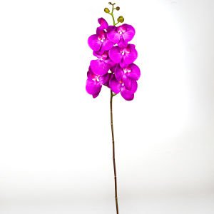 Yapay Orkide Gerçek Dokunuş Fuşya 104 Cm.